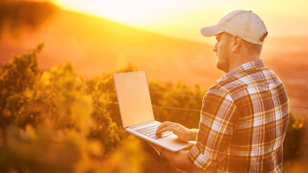 man using a laptop in a field